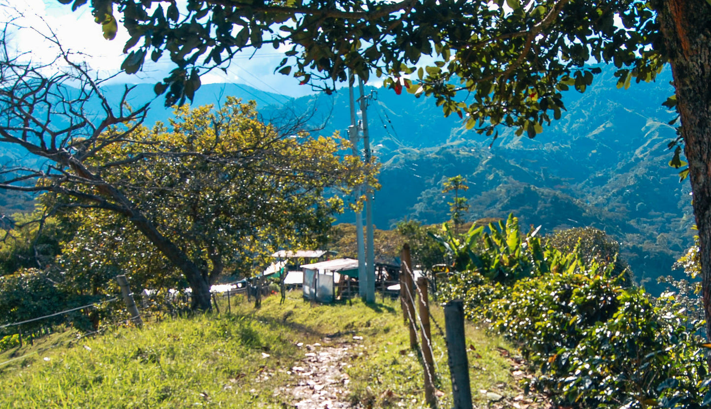 La Esperanza Tropical