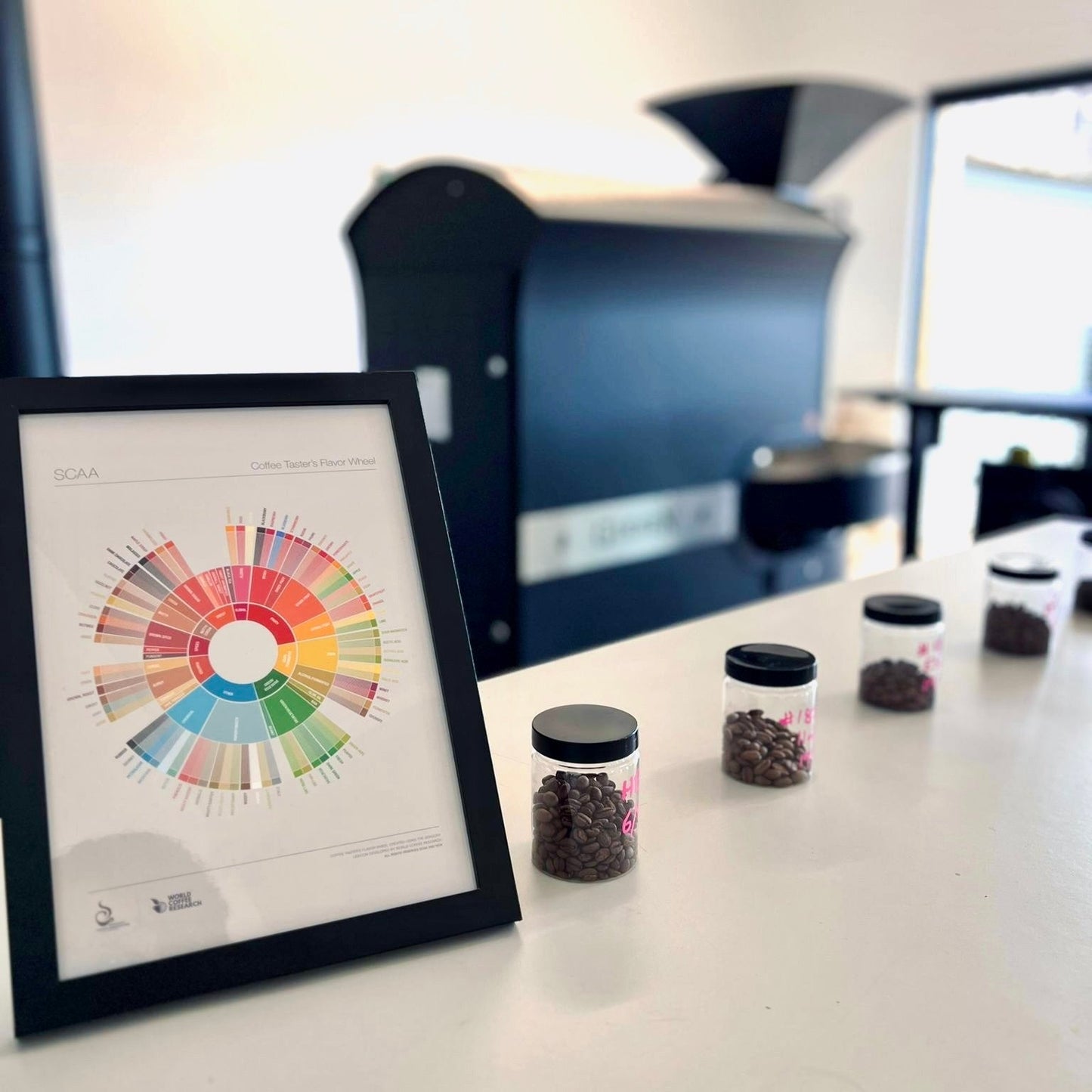 Coffee Tasting Experience