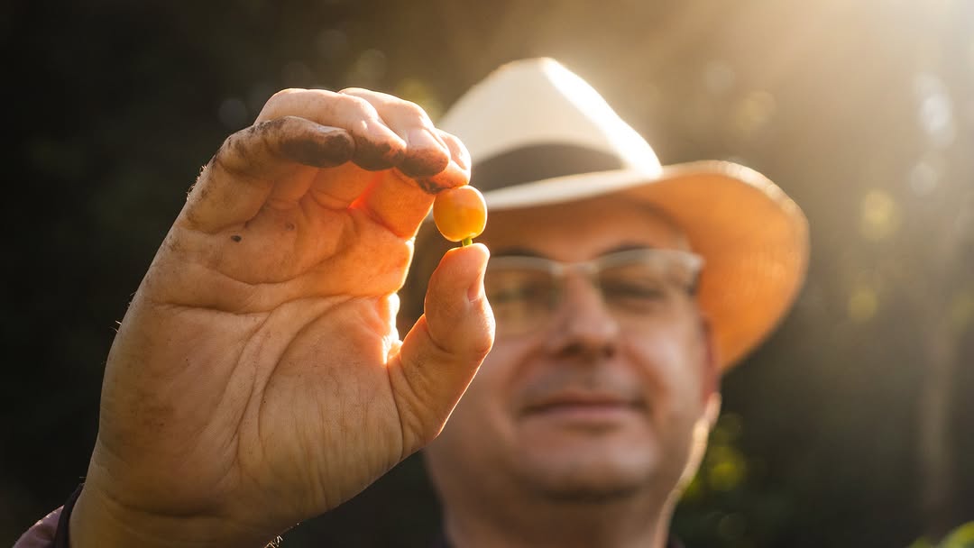 Luiz Saldanha with a yellow Arara