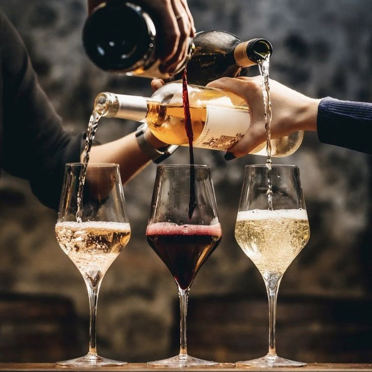 Wine, Olive Oil & Coffee Tasting Experience
