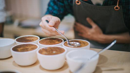 Coffee Tasting Experience